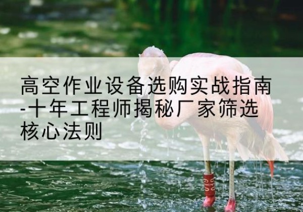 铁西剪叉式升降机厂家-高空作业设备选购实战指南-十年工程师揭秘厂家筛选核心法则